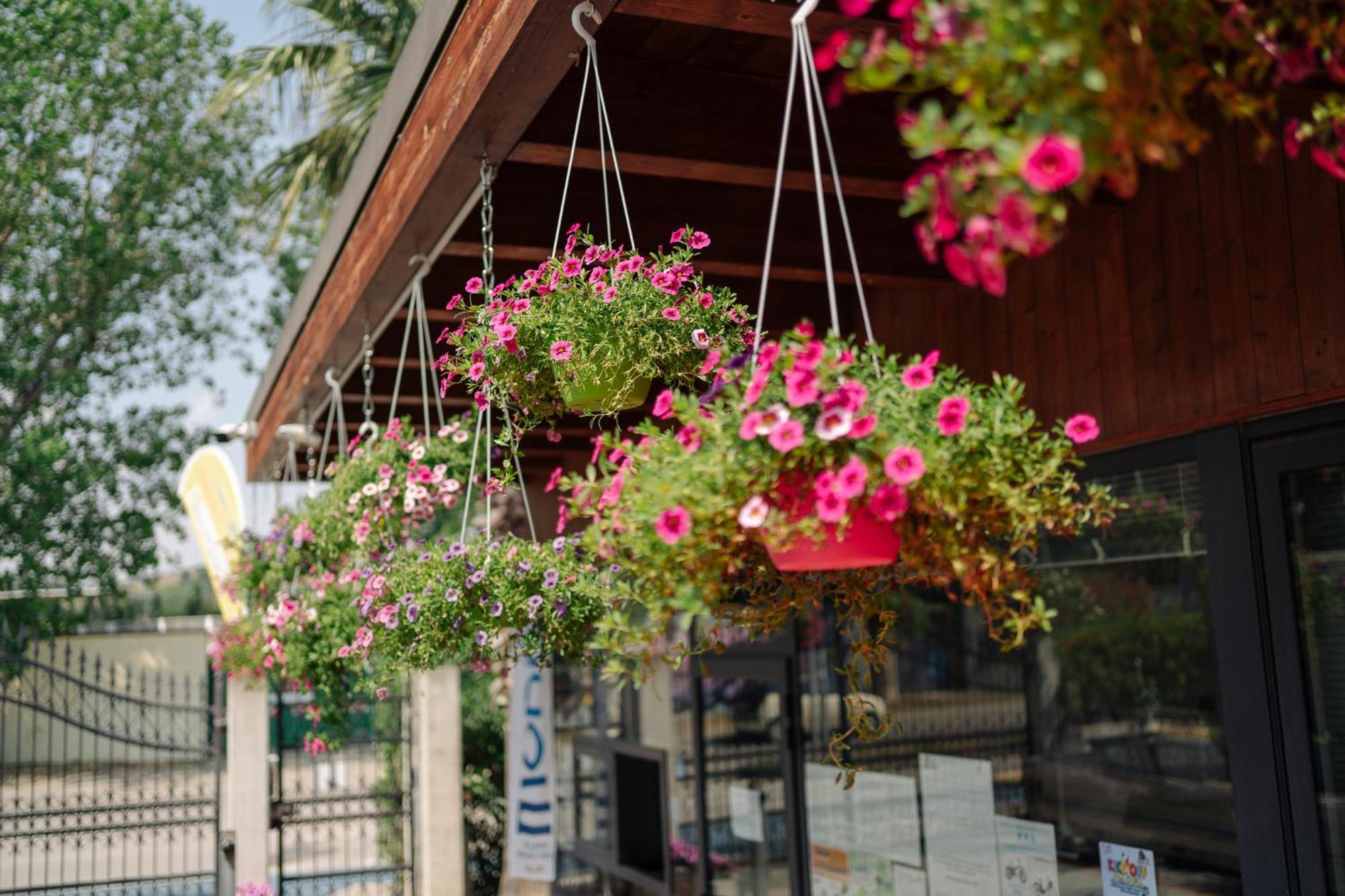 Village Lake Placid Silvi Marina Zewnętrze zdjęcie